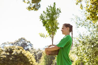 Greenery Planting