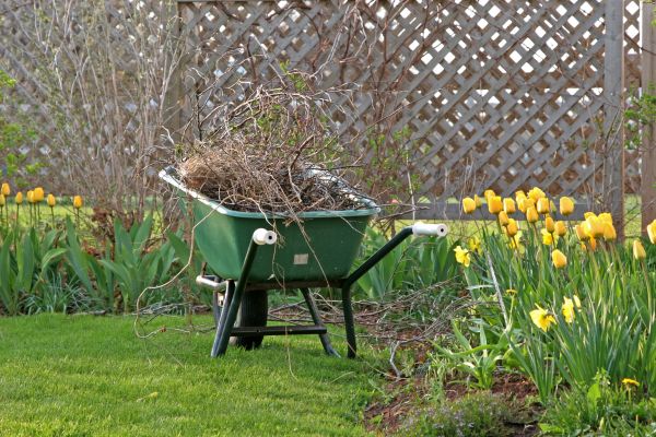 Flower Bed Cleanup Service