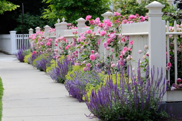Garden Handyman Service