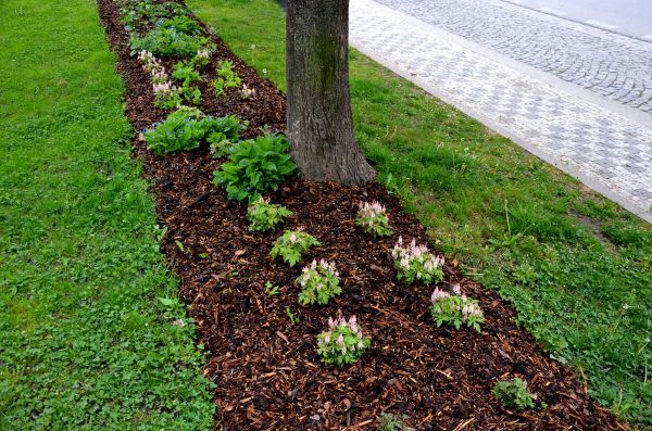 Mulch Replacement Service