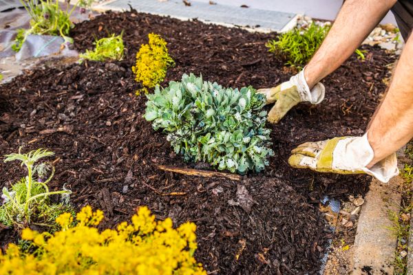 Weeding And Mulching Service