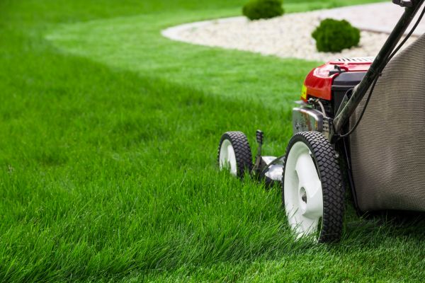 Yard Maintenance