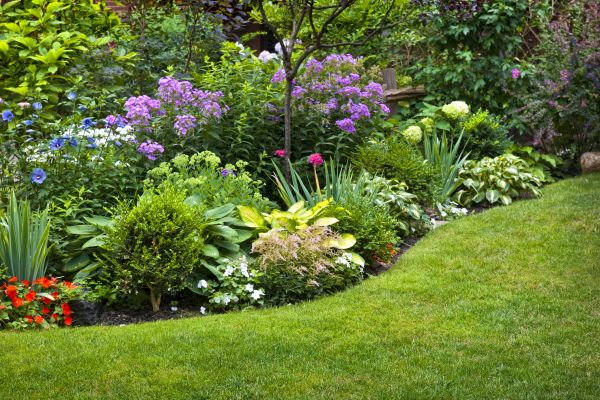 Garden Transformation
