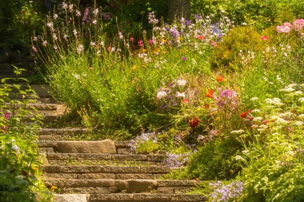 Natural Landscaping