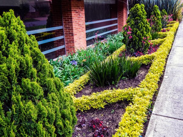 Garden Rejuvenation