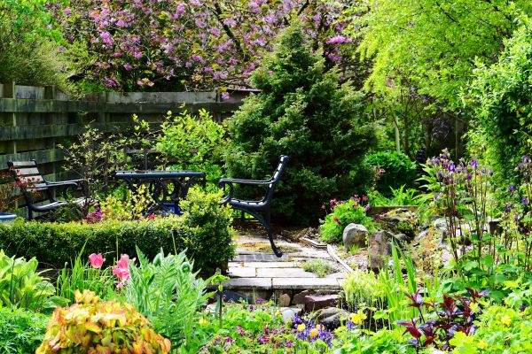 Garden Revamp