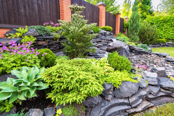 Landscape Remodeling in Bellevue