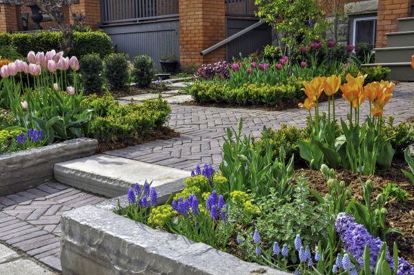 Hardscape Design
