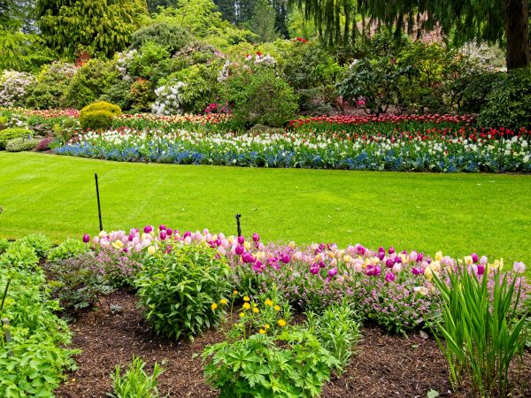 Residential Landscape Design in Bellevue