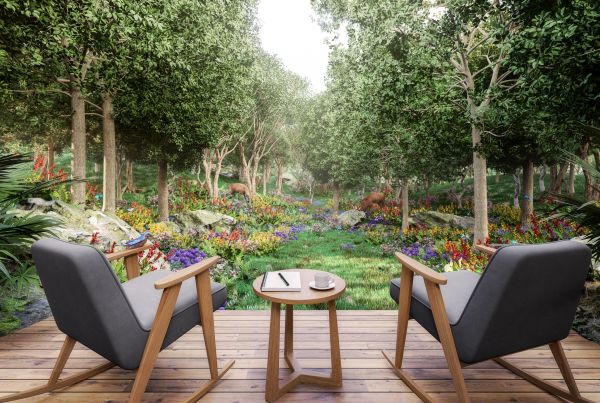 Backyard Transformation