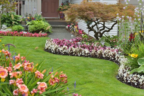 Perennial Landscaping Service