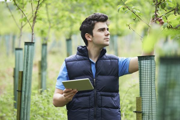 Landscape Preservation Service
