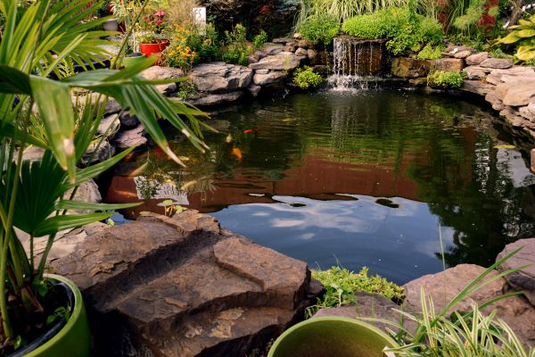 Aquatic Landscaping