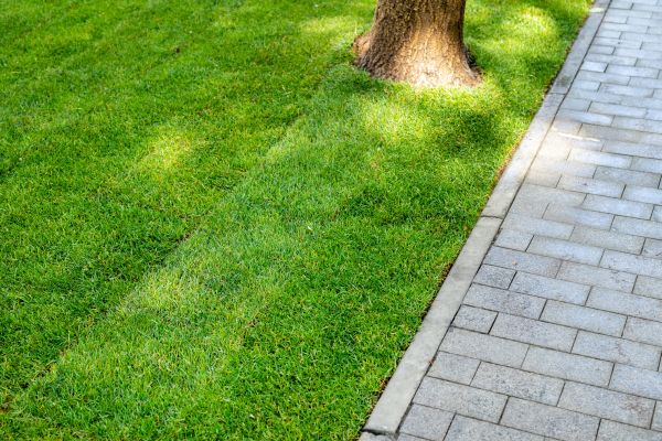 Border Stone Installation Service