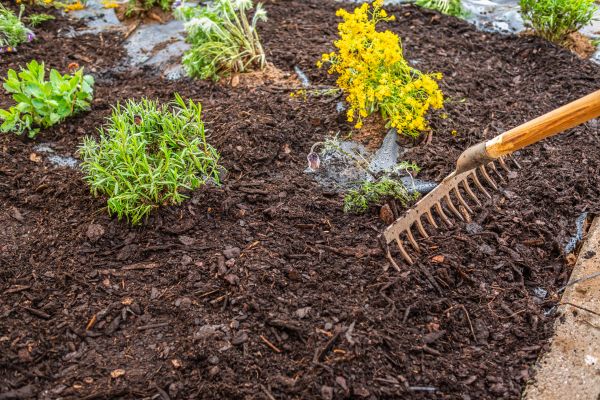 Mulch Cleanup