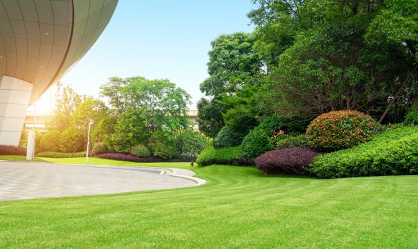 Business Landscape Design in Bellevue