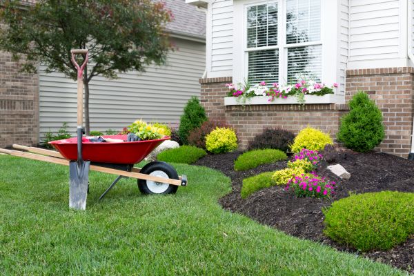Tree And Shrub Planting Service
