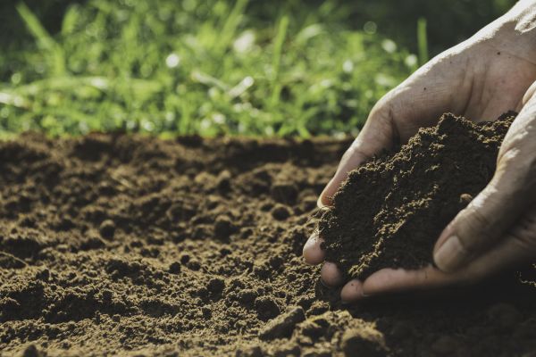 Soil Renovation