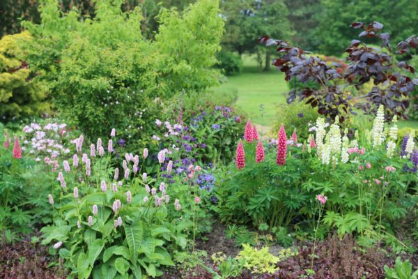 Flower Bed Planting in Bellevue