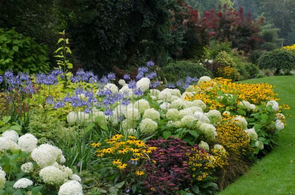 Floral Gardening