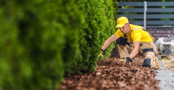 Mulch Replacement