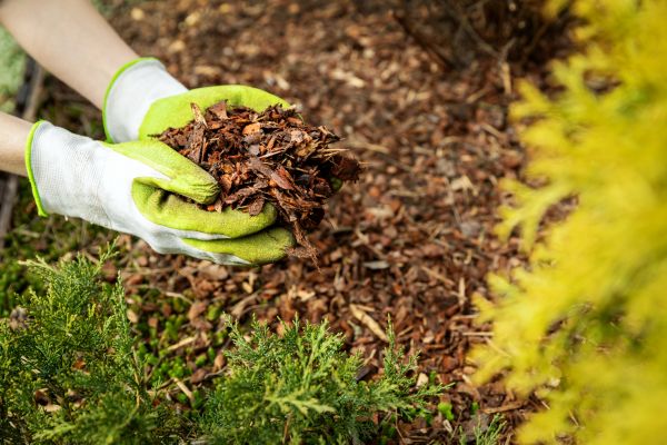 Garden Mulch Delivery Service