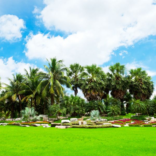 Tropical Landscaping Service