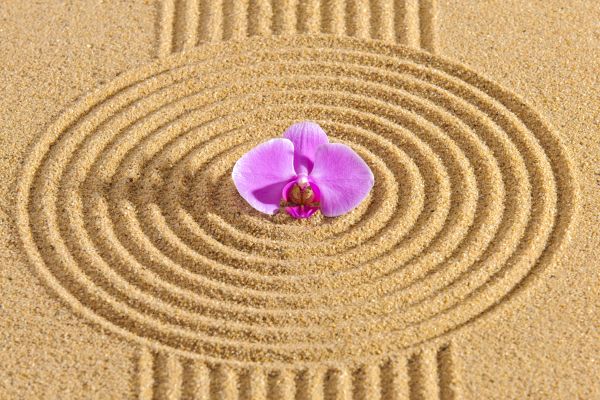Sand Garden Landscaping Service