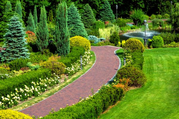 Shrubbery Installation