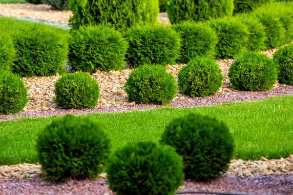 Bush Installation