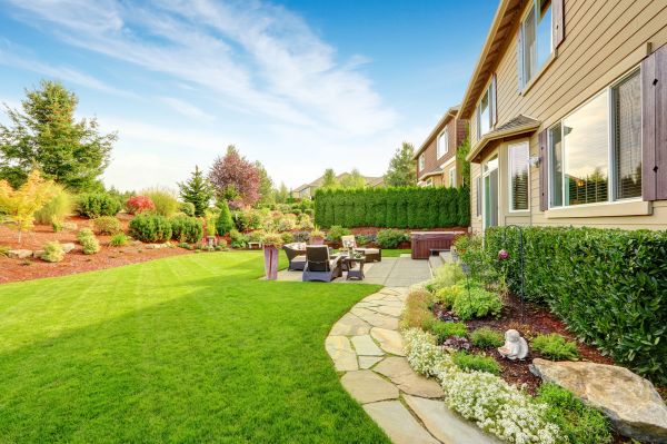 Yard Redesign