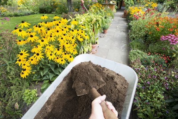 Topsoil Replacement Service