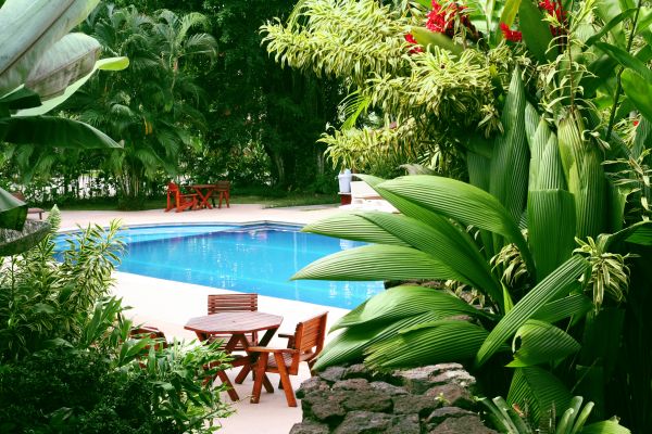 Pool Area Landscaping in Bellevue