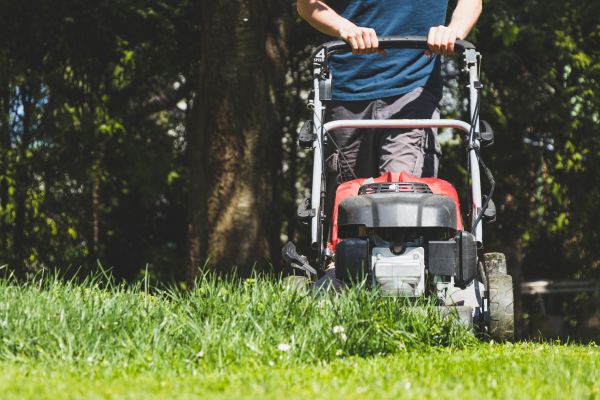 Garden Trimming Service
