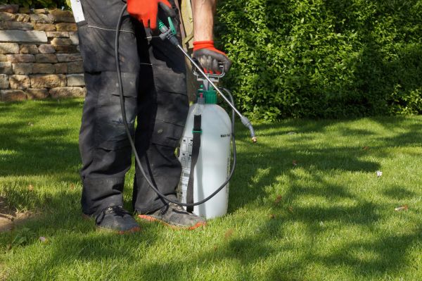 Weed Prevention Service