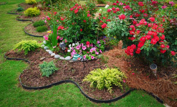 Floral Landscaping