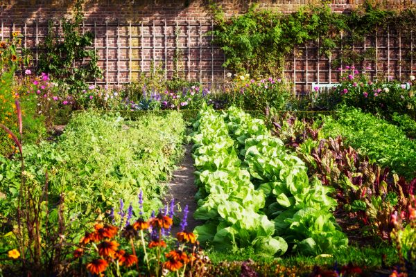 Garden Planting Service