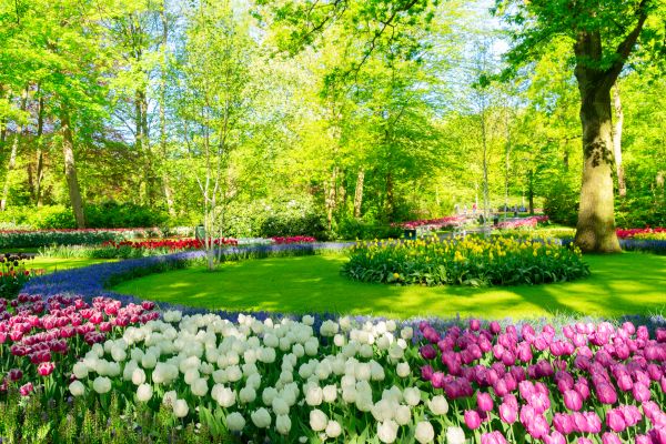 Flower Landscaping in Bellevue