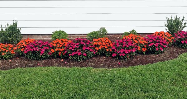 Landscape Bed Installation