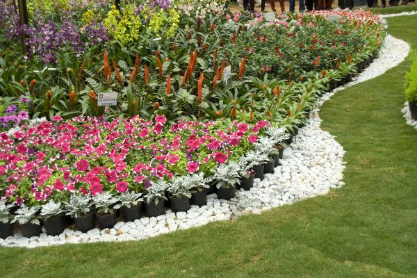 Garden Plot Maintenance