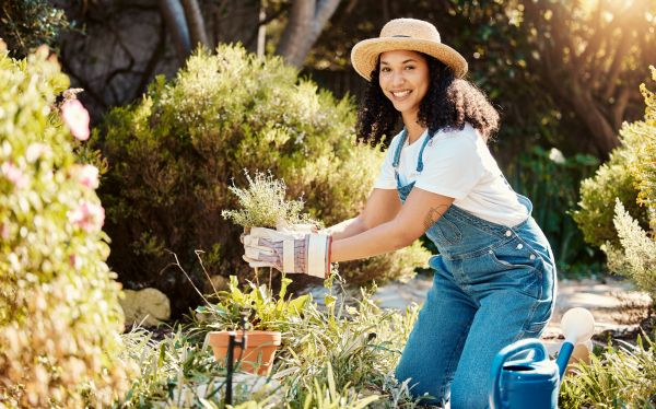 Backyard Gardening