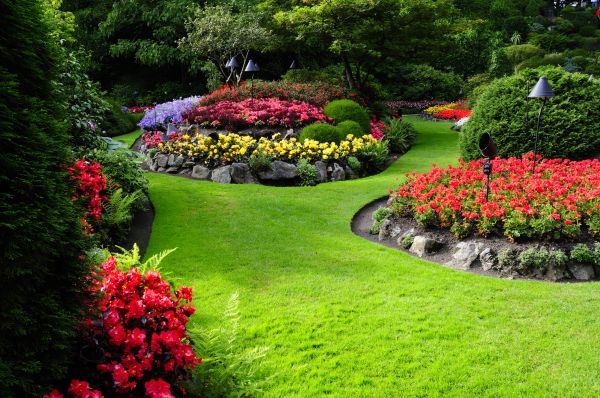 Outdoor Beautification