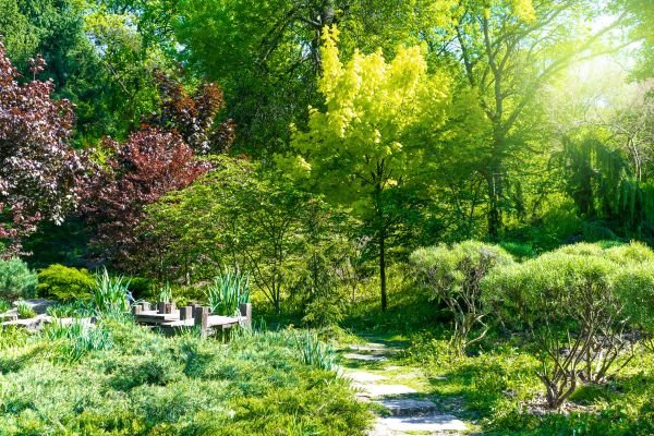 Botanical Landscaping