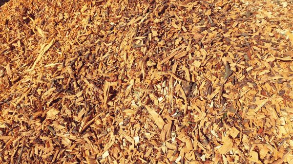 Wood Chip Placement
