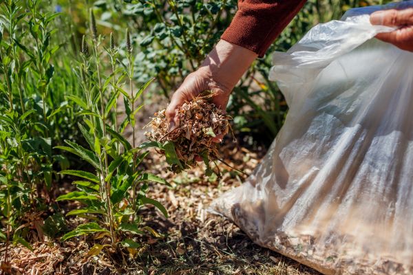 Wood Mulch Installation