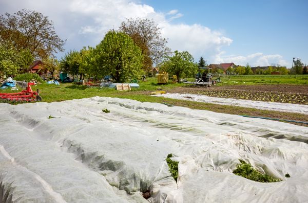 Organic Landscape Covering