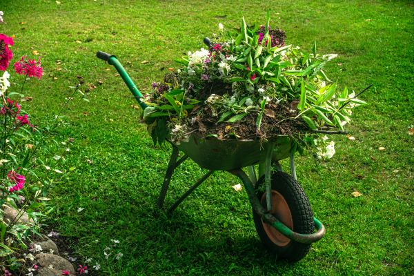 Flower Garden Clearing