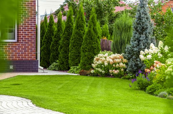 Spring Landscaping Service