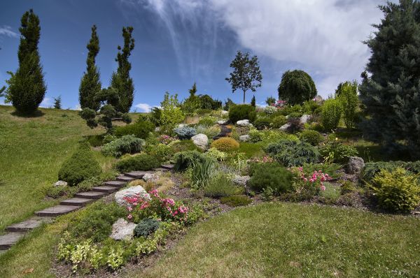Steep Terrain Landscaping Service