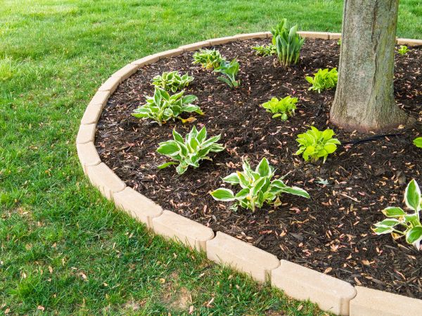Stone Border Installation